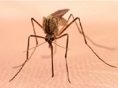 大沥除四害公司常用的灭蚊子的办法有哪些