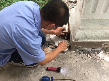 桂城白蚁预防中心灭白蚁有什么好办法?