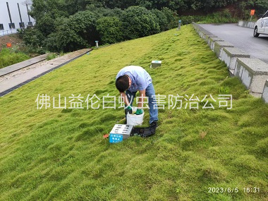 沙头水利堤坝鼠害防控工程