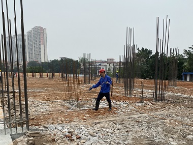 桂城白蚁防治所——新建房屋基础预防白蚁的方法
